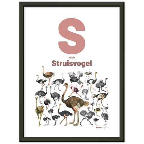 S als Struisvogel - a Dutch letter poster