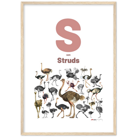 S som Struds - a Danish letter poster