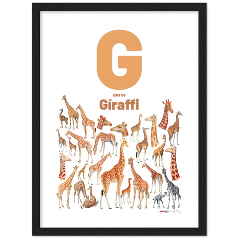 G eins og Gíraffi - an Icelandic letter poster