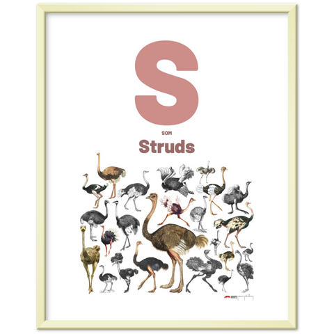S som Struds - a Danish letter poster