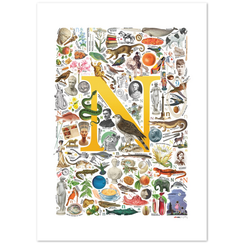 N is for Nature - a poster with English N words