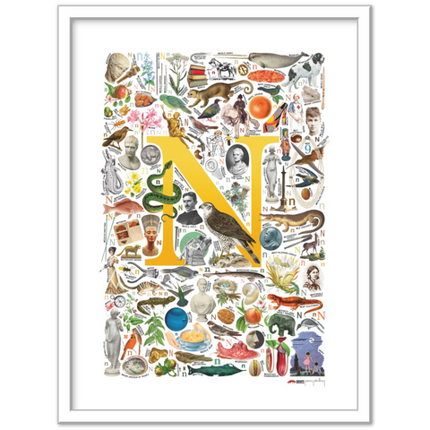 N is for Nature - a poster with English N words