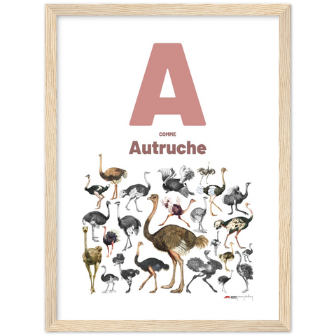 A comme Autruche - a French letter poster