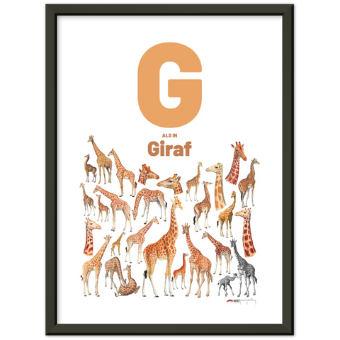 G als in Giraf - a Dutch letter poster