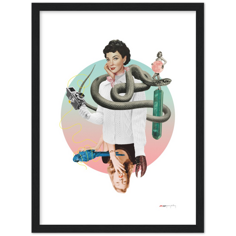 Norwegian Blue - a collage poster