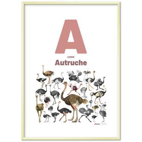 A comme Autruche - a French letter poster