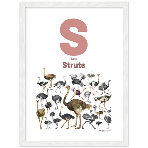 S som i Struts - a Swedish letter poster