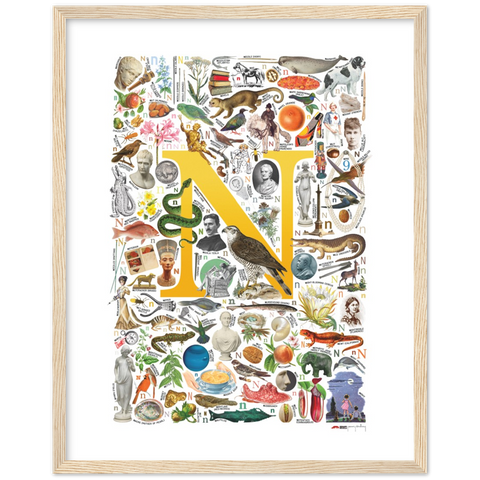N is for Nature - a poster with English N words