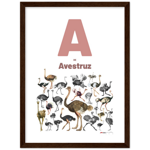 A de Avestruz - a Portuguese letter poster