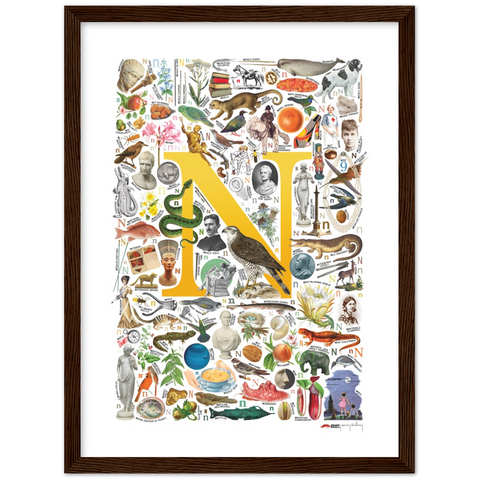 N is for Nature - a poster with English N words