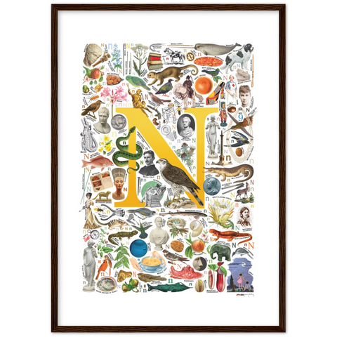 N is for Nature - a poster with English N words