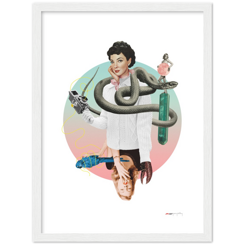 Norwegian Blue - a collage poster