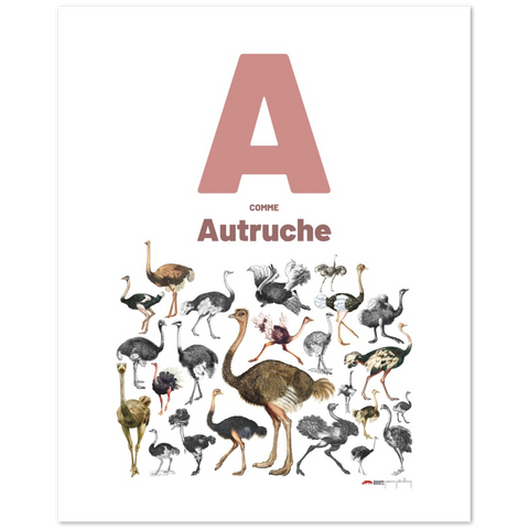 A comme Autruche - a French letter poster