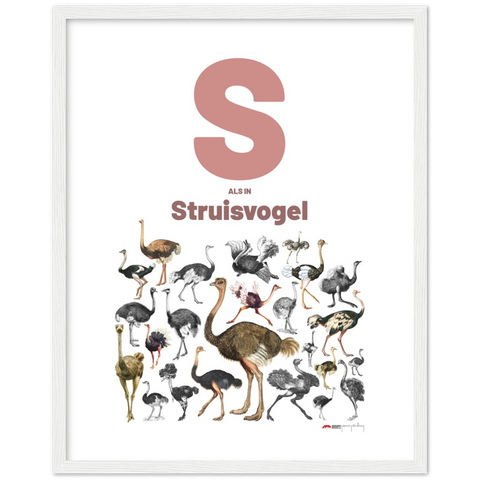 S als Struisvogel - a Dutch letter poster