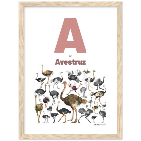 A de Avestruz - a Portuguese letter poster