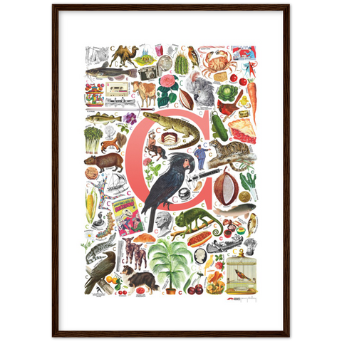 C is for Curious - a poster with English C words