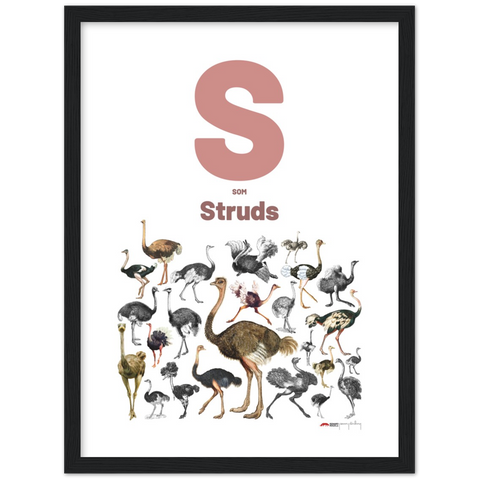 S som Struds - a Danish letter poster