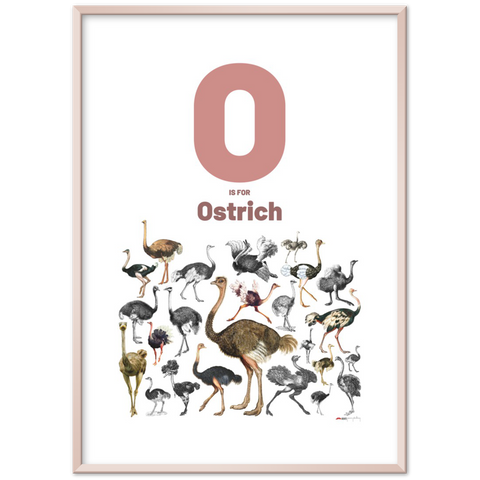 O is for Ostrich - an English letter poster