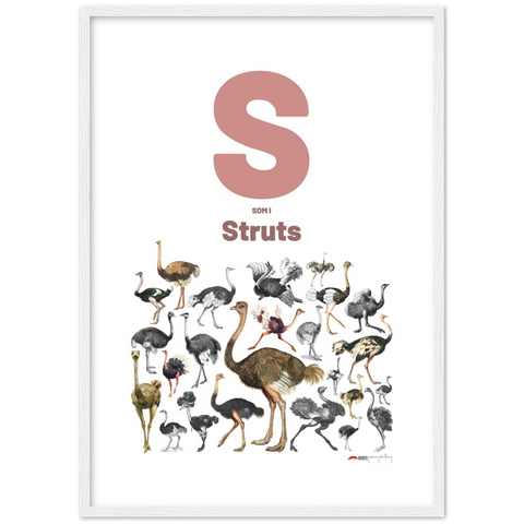 S som i Struts - a Norwegian letter poster