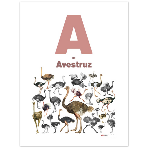 A de Avestruz - a Portuguese letter poster
