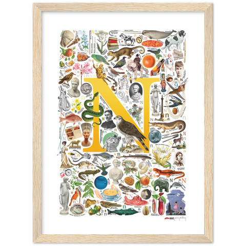 N is for Nature - a poster with English N words