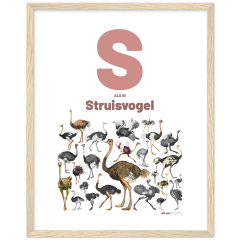 S als Struisvogel - a Dutch letter poster