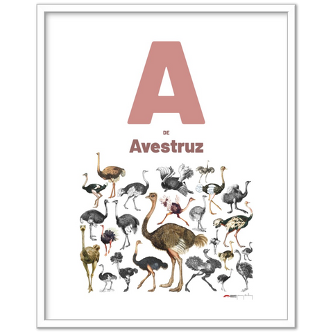 A de Avestruz - a Spanish letter poster