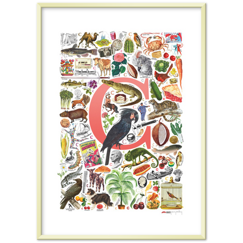 C is for Curious - a poster with English C words