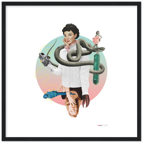 Norwegian Blue - a collage poster
