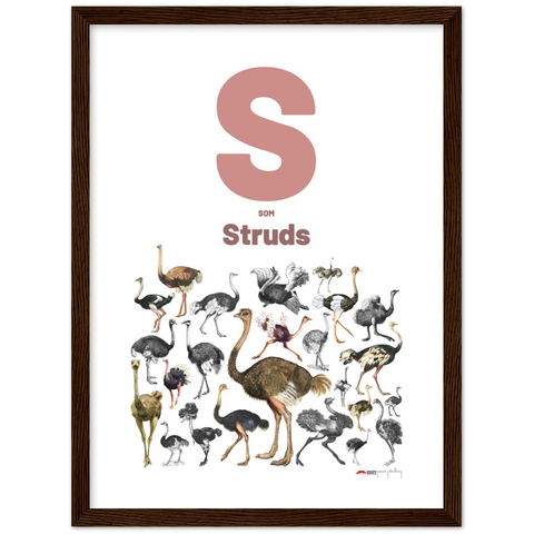 S som Struds - a Danish letter poster