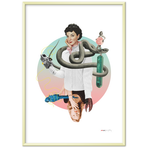 Norwegian Blue - a collage poster