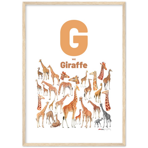 G wie Giraffe - a German letter poster