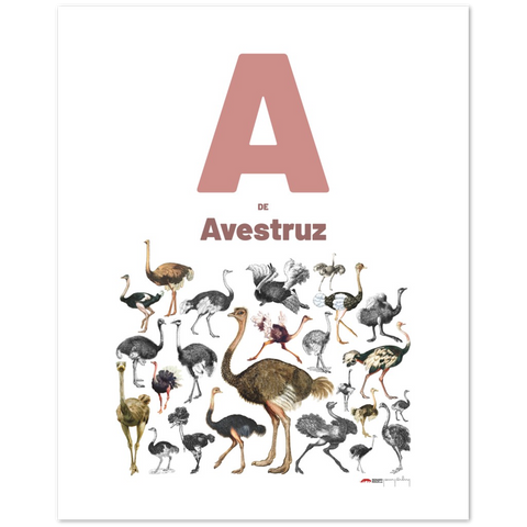 A de Avestruz - a Spanish letter poster