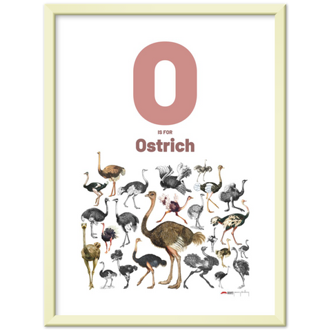 O is for Ostrich - an English letter poster