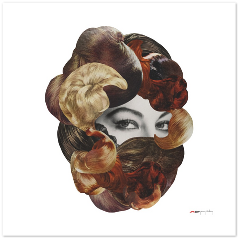 Hairy Allure - a fancy coiffure poster