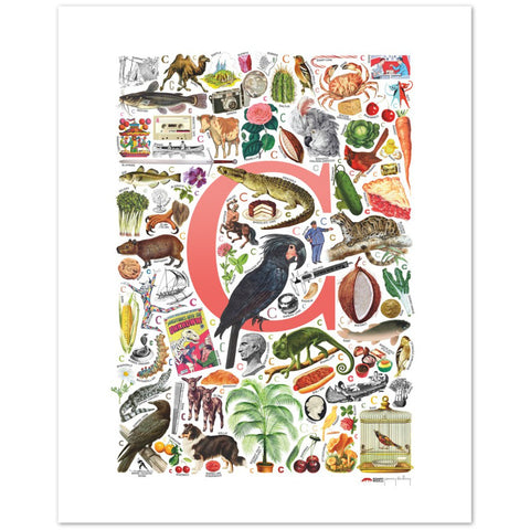 C is for Curious - a poster with English C words