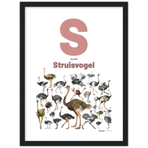 S als Struisvogel - a Dutch letter poster