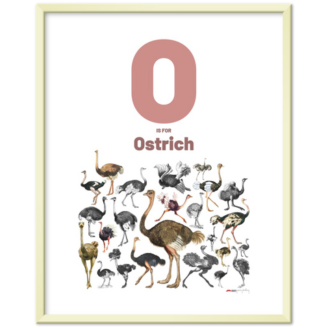 O is for Ostrich - an English letter poster