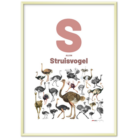 S als Struisvogel - a Dutch letter poster