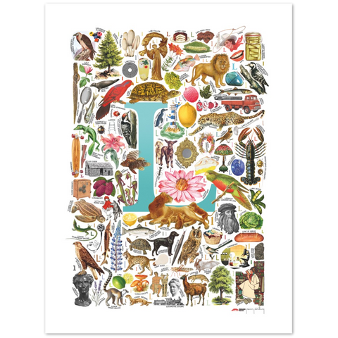 L is for Learning - a poster with English L words