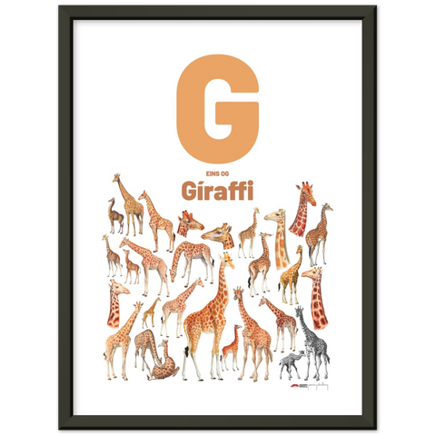 G eins og Gíraffi - an Icelandic letter poster