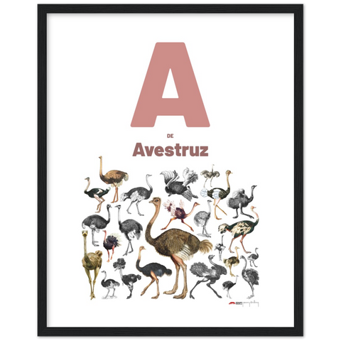 A de Avestruz - a Spanish letter poster