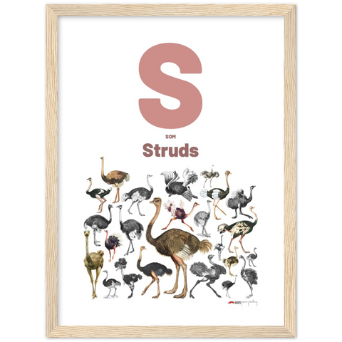 S som Struds - a Danish letter poster