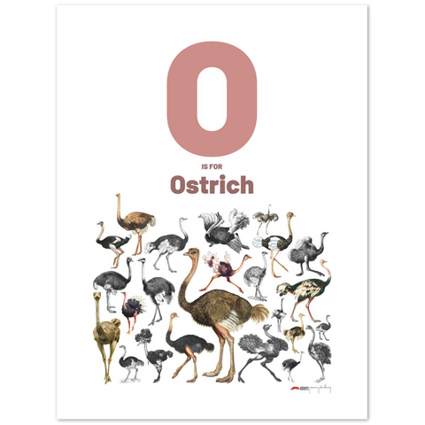 O is for Ostrich - an English letter poster