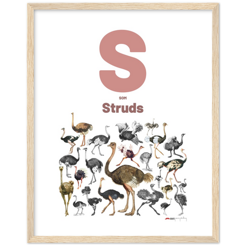 S som Struds - a Danish letter poster