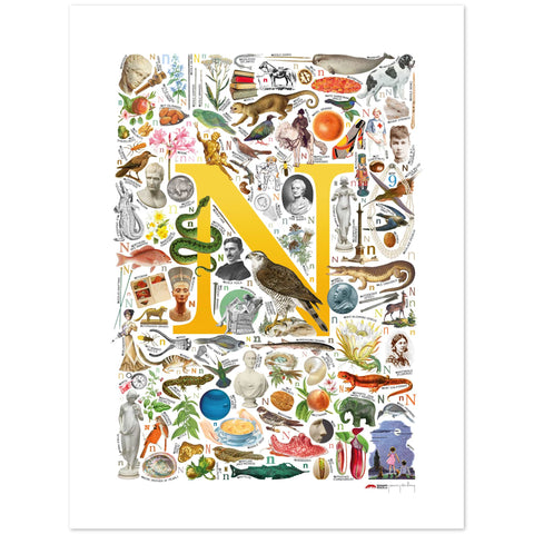 N is for Nature - a poster with English N words