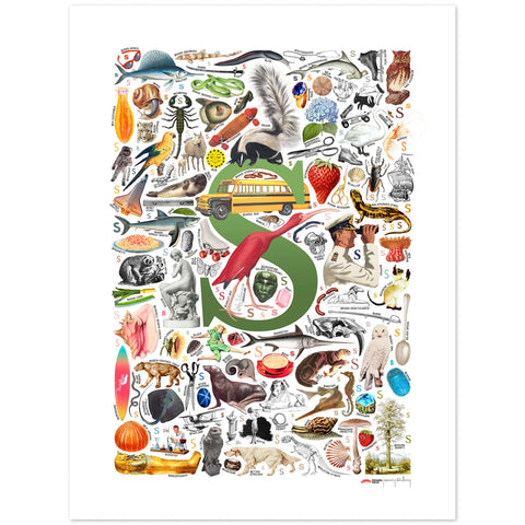 S is for Surprise - a poster with English S words