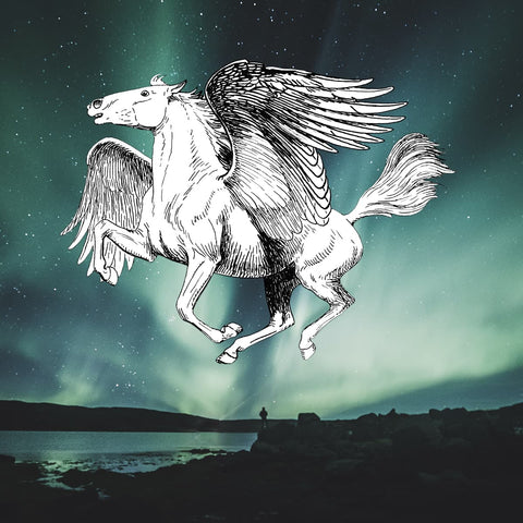 Free Shipping Pegasus