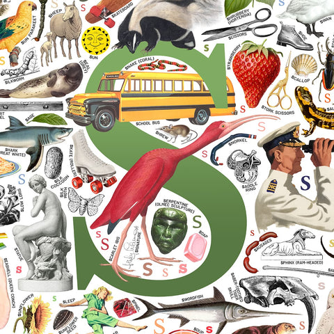S is for Surprise - a poster with English S words