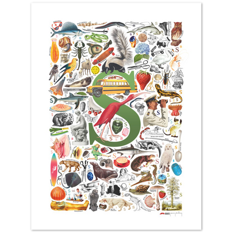 S is for Surprise - a poster with English S words